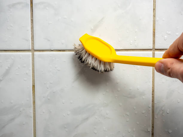 Best Kitchen Mold Remediation in Cobb Island, MD