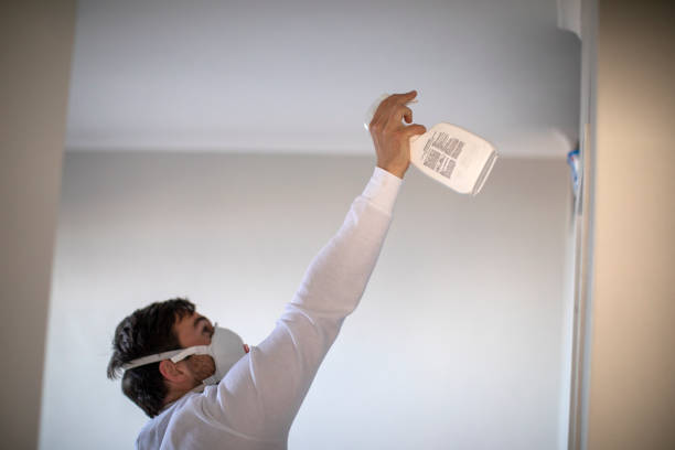 Best Attic Mold Remediation in Cobb Island, MD